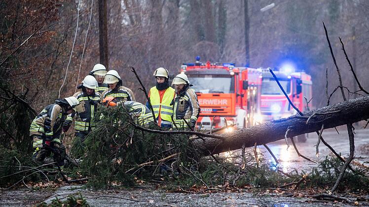 Einsatzkräfte der Feuerwehr entfernen einen durch das Sturmtief "Sabine" umgestürzten Baum von einer Straße. Auch dieses Wochenende wird es in Franken wieder sehr stürmisch.  Matthias Balk, dpa