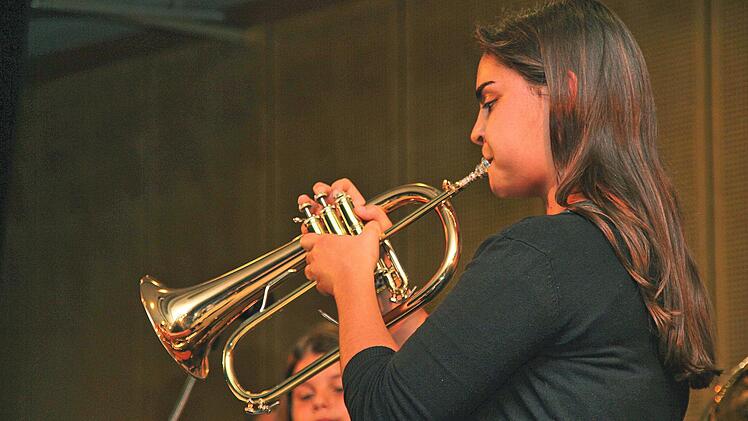 Die Schüler des Philipp-Schönborn-Gymnasiums Münnerstadt begeisterten bei ihrem Sommerkonzert mit Musik und Gesang. Foto: Dieter Britz