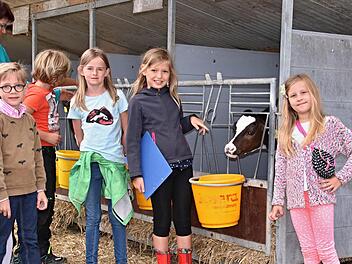 Die "Renner" auf dem Hof der Familie Ley in Losbergsgereuth waren die Kälber. Foto: Helmut Will