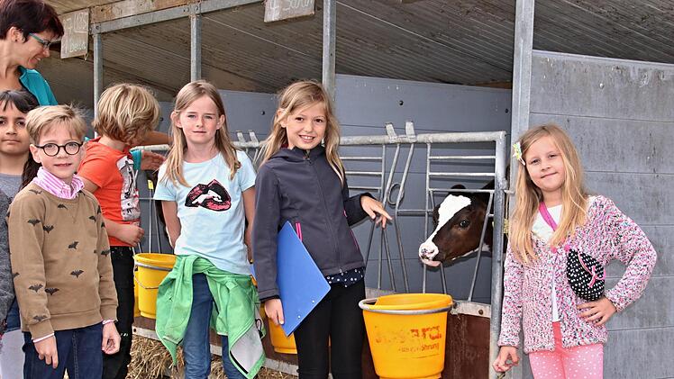 Die "Renner" auf dem Hof der Familie Ley in Losbergsgereuth waren die Kälber. Foto: Helmut Will