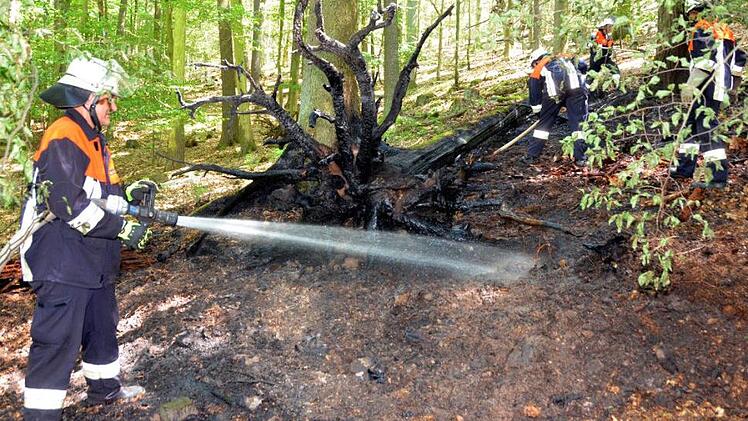 Dreimal innerhalb weniger Monate hat es im Staatsforst am Stellberg zwischen Großenbrach und Bad Bocklet bereits gebrannt. Der letzte Brand war am Mittwoch gegen Mittag.  Fotos: Peter Rauch