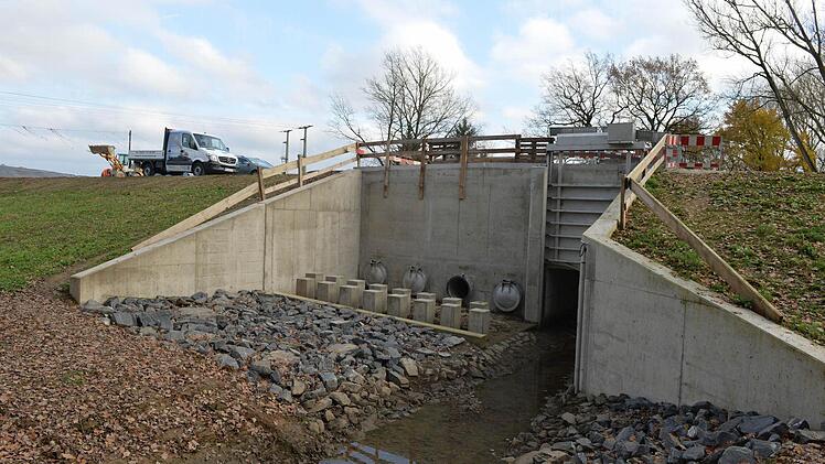 Foto: Ronald Rinklef