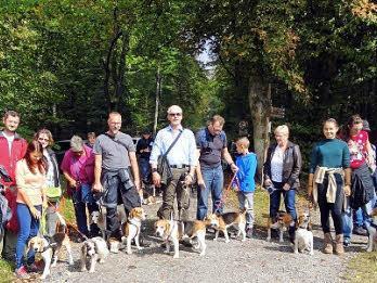 Die Beagle-Freunde im Klauswald. Foto: Hans-Jürgen Neumann