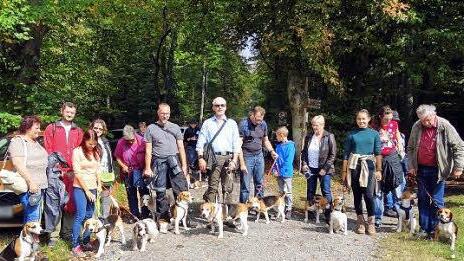 Die Beagle-Freunde im Klauswald. Foto: Hans-Jürgen Neumann