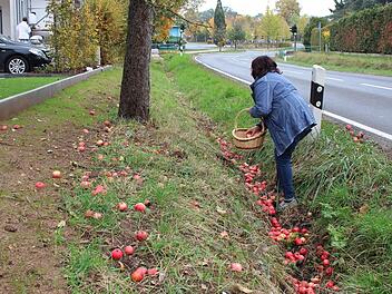 Auch hier an der Bamberger Straße in Höchstadt liegen jede Menge Äpfel, um die sich niemand kümmert. Foto: Andreas Dorsch