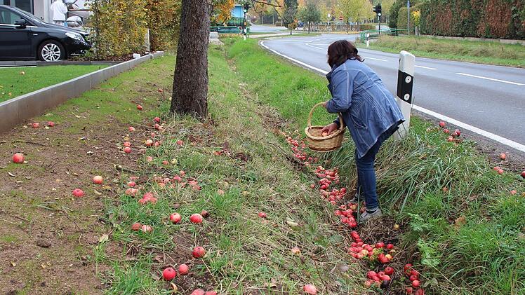 Auch hier an der Bamberger Straße in Höchstadt liegen jede Menge Äpfel, um die sich niemand kümmert. Foto: Andreas Dorsch