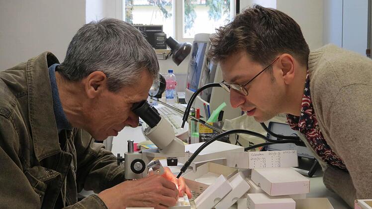 : Internationaler Fachbesuch: Dr. Dmitry Shchenbakov und Ilja Kogan aus Russland ...