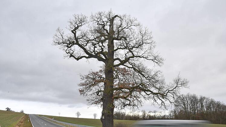 Foto: Ronald Rinklef