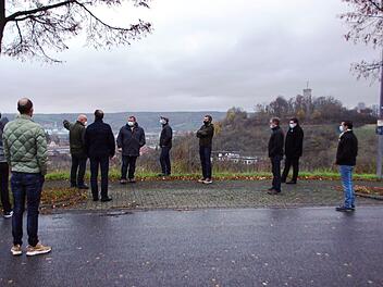 Die Suche nach einem Mobilfunkstandort für die Versorgung von Weingartenstraße und "In den Weingärten" in Eltmann geht weiter. Den Standort im Bereich Wallburg (im Hintergrund) lehnte die Untere Naturschutzbehörde (Landratsamt) ab. Sabine Weinbeer
