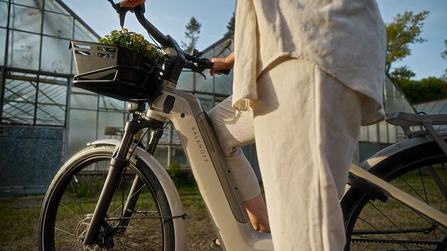 E-Bike Motoren und Antriebe im Vergleich:
