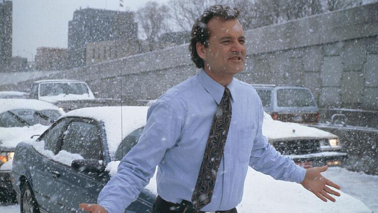 Verzweifelt: Phil Connors muss in "Und t&auml;glich gr&uuml;&szlig;t das Murmeltier" immer wieder den 2. Februar durchleben.