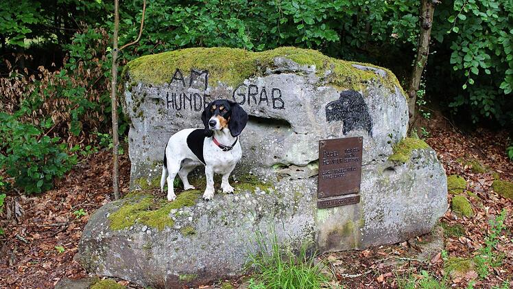 Ein Hundegrab hat Rainer Betz für seine Jagdhunde angelegt. Hündin Jana ist ein treuer Wegbegleiter. Foto: Julia Raab