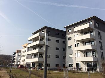 Neubauprojekte beschränkten sich in Bamberg in den letzten Jahren ausschließlich auf hochpreisige Wohnungen - der Sozialwohnungsbereich wurde lange vernachlässigt.