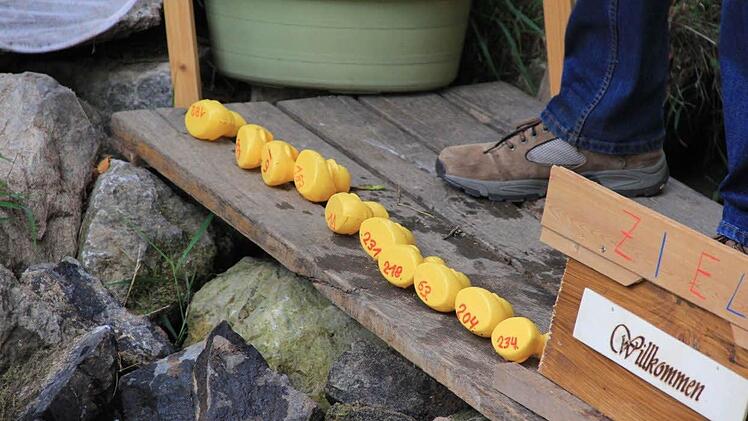 Wie bei den Lottozahlen aufgereiht.Foto: Helmut Will