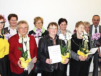 Bei der Ehrung der Mitglieder (von links): der Vorsitzende der Jungen Bürger, ThorstenSchmidtke, FU-Kreisvorsitzende Julia Spörlein, Johanna Schwarzmann (40 Jahre Mitglied), Anni Gückel, Lucia Krüger, Walburga Kraus, Irmgard Hümmer,Angelika Moritz, Christine Bähr (alle 20 Jahre Mitglied), Bürgermeister Robert Hümmer, Vorsitzende Melita Braun und CSU-Vorsitzender Hans-Werner Schuster Foto: Roland Dietz