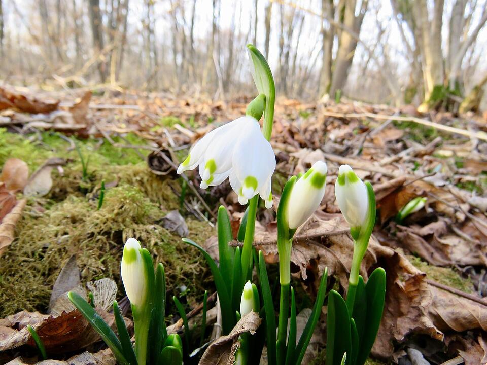 Die schönsten Fotos im Februar aus Haßfurt und Umgebung