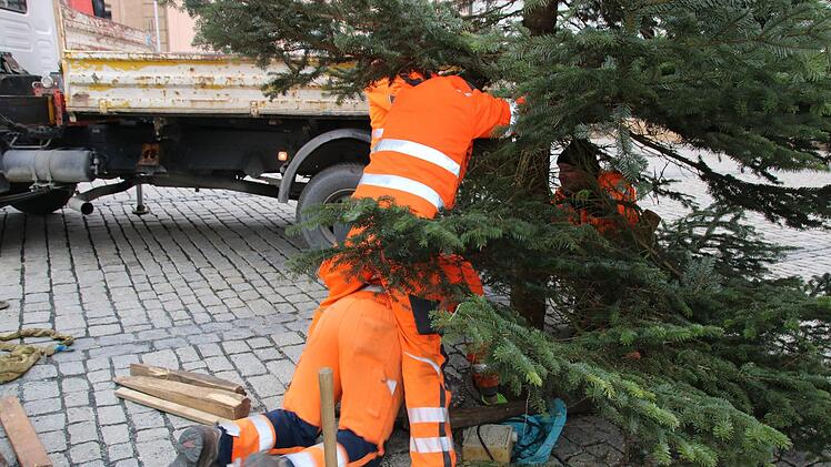 Unter einigen Verrenkungen wird der Baum justiert.Foto: Katrin Geyer