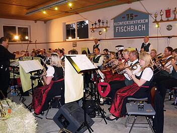 Der Musikverein Höfles-Vogtendorf Foto: Heike Schülein