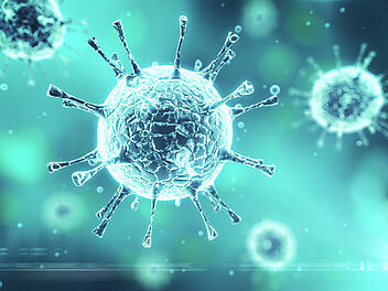 Virus or bacteria cells