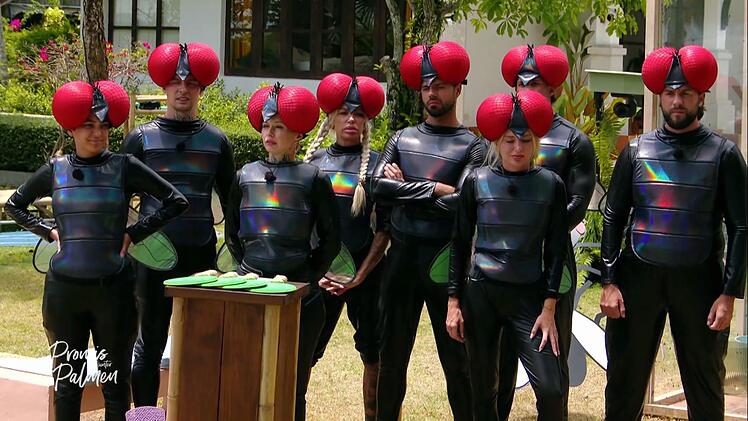 Im Schmei&szlig;fliegen-Kost&uuml;m m&uuml;ssen die Promis im "Kapit&auml;nsspiel" in der "Stinkebox" paarweise Aufgaben l&ouml;sen. Das schnellste Paar bildet die Kapit&auml;ne.