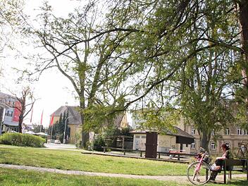 Als Platz zur Erholung wird der Park neben der Klosterstraße genutzt. Künftig soll es hier zwei Spielplätze geben. Foto: Roepert