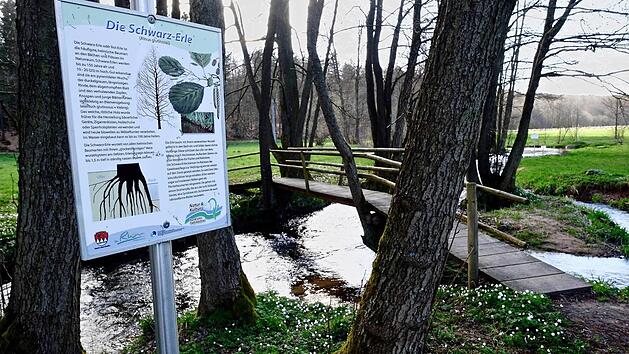 Der Walderlebnisweg Oehrbachtal. Foto: Gerd Schaar