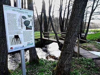 Der Walderlebnisweg Oehrbachtal. Foto: Gerd Schaar