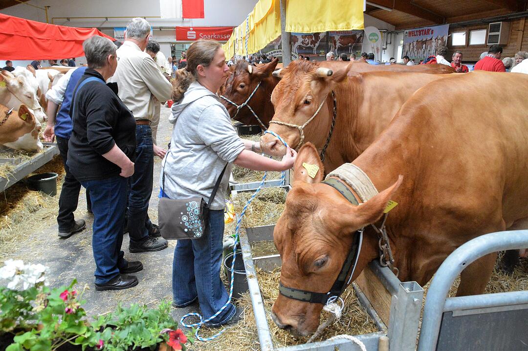 Lebendige Feuerwehrgeschichte