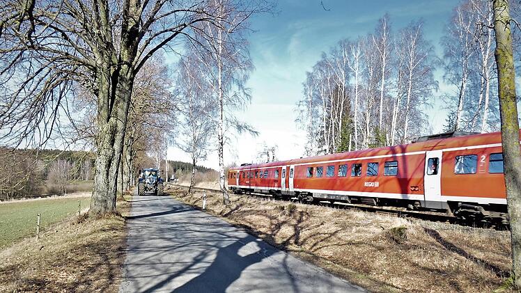 Es ist eine stattliche Lindenallee, die auch den Bahnkörper säumt. Einzelne Bäume gewährleisten nach Meinung der DB AG nicht mehr die Sicherheit des Bahnverkehrs.