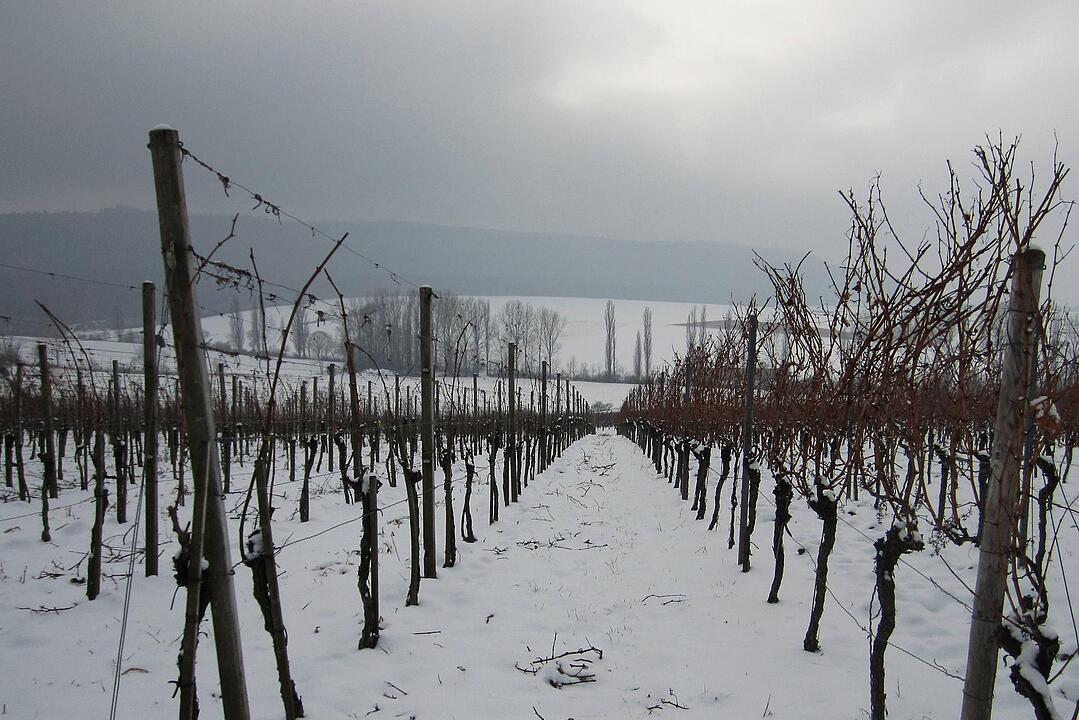 Fotos Konrad Thomann