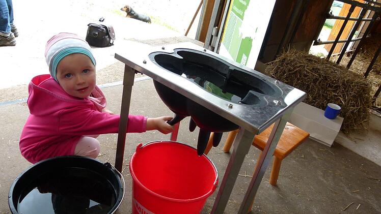 Die kleine Lina Resch bei Melkversuchen im Stall der Taubmanns.