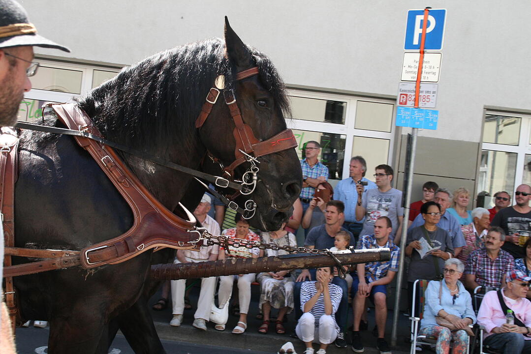 Rakoczy-Fest 2015 Bad Kissingen