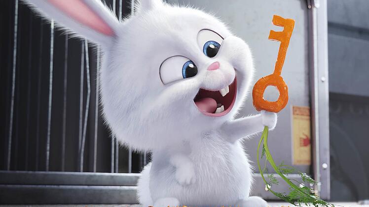 Die Nummer 1 des Jahres 2016: Der Animationsfilm "Pets" hatte in Coburg mehr Besuc her als jeder andere Film. Foto: Universal Film