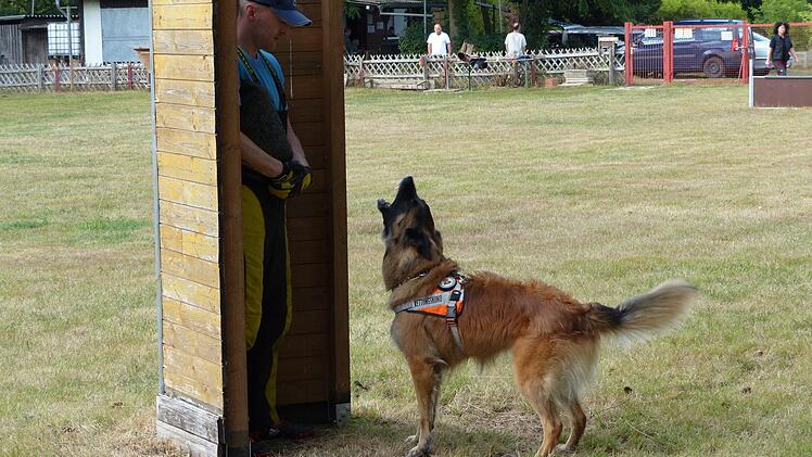 Der Belgische Schäferhund "Scharik" verbellt den "gefundenen" Menschen Stephan Rehm fachmännisch. Foto: Pauline Lindner