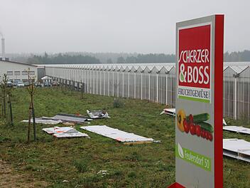 Die Steuereinnahmen haben sich erhöht, auch der dank der Ansiedlung der Gemüsefarm bei Feulersdorf. Foto: Alexander Hartmann