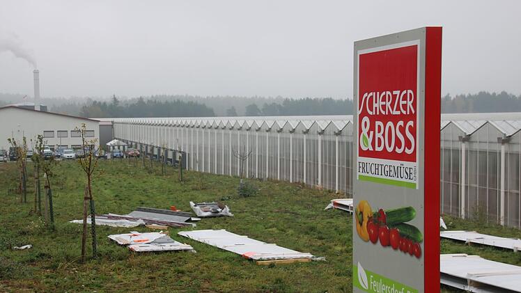 Die Steuereinnahmen haben sich erhöht, auch der dank der Ansiedlung der Gemüsefarm bei Feulersdorf. Foto: Alexander Hartmann