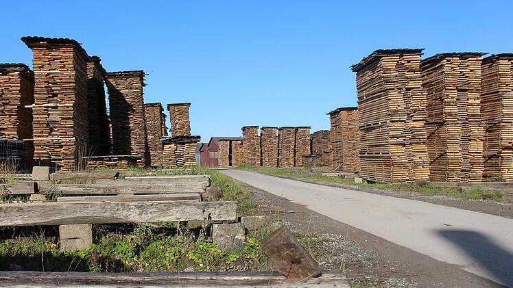 Der weitläufige Lagerplatz des Eichen- und Buchenholzes. Julia Raab