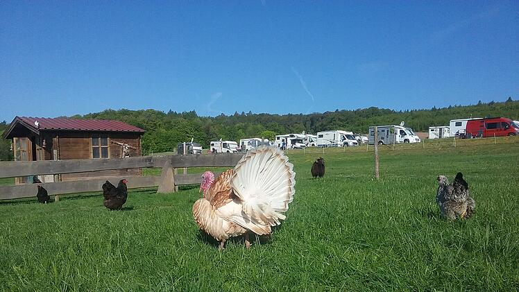 Hammelburg: Stellplatz "Forellenhof" bekommt Auszeichnung