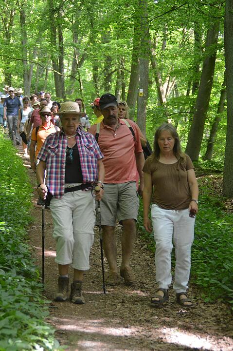 Landkreiswanderung 2017