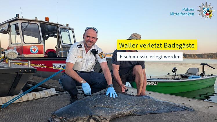 Nach Angriff auf Badegäste - Polizei erschießt Wels