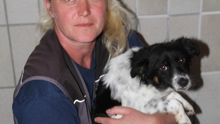 Tierheimleiterin Caroline Hetzel-Farr mit Mischlingshund Fidel, der ab der Hüfte gelähmt ist . Fotos: Gerda Völk