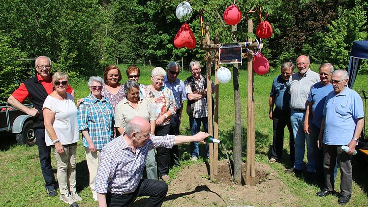 Eine Linde hatten Angehörige des Mürschter Geburtsjahrganges 1946 im letzten Jahr eingepflanzt. Am Vatertag wurde das nun gefeiert. Den Gedenkstein davor taufte Wolfgang Blümlein mit Sekt.  Foto: Dieter Britz