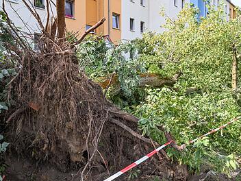 DWD best&auml;tigt Tornado in F&uuml;rstenwalde in Brandenburg
