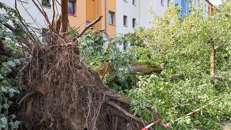 DWD best&auml;tigt Tornado in F&uuml;rstenwalde in Brandenburg