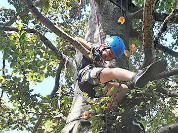 Klettern ist eine von vielen Freizeitaktivit&auml;ten