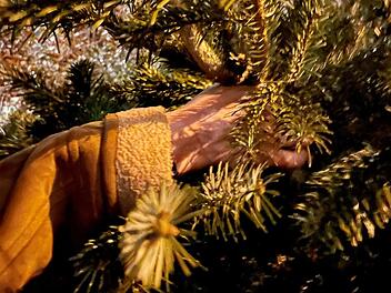 Der Baum ist abgeschmückt - und jetzt? Foto: Annett Lüdeke