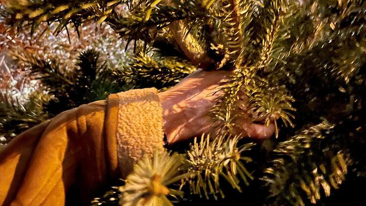 Der Baum ist abgeschmückt - und jetzt? Foto: Annett Lüdeke