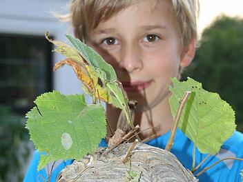 Der kleine Tim präsentiert das große Wespennest.  Foto: A. Oswald