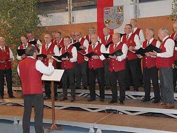 Der gastgebende Chor Liederkranz Hallerndorf während des Gruppenkonzerts des Sängergruppe Forchheim-West Foto: Mathias Erlwein
