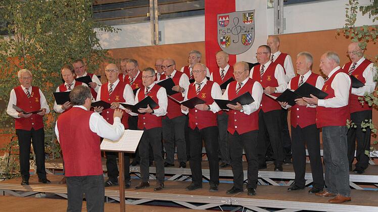 Der gastgebende Chor Liederkranz Hallerndorf während des Gruppenkonzerts des Sängergruppe Forchheim-West Foto: Mathias Erlwein